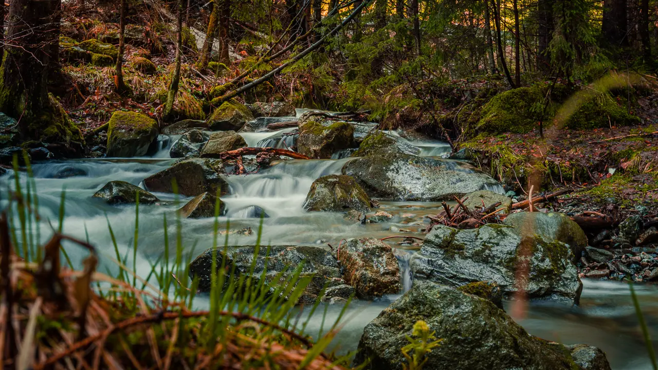 small-waterfall-forest